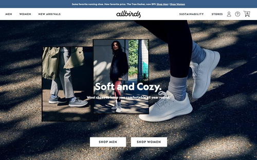 Allbirds website screenshot
