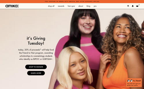 amika website screenshot