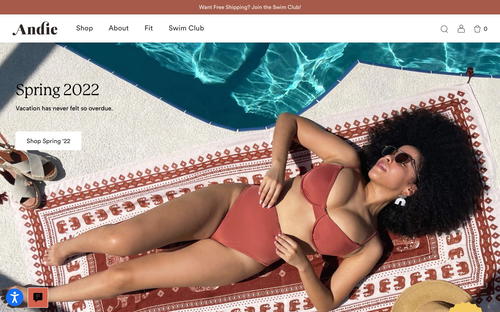 Andie website screenshot