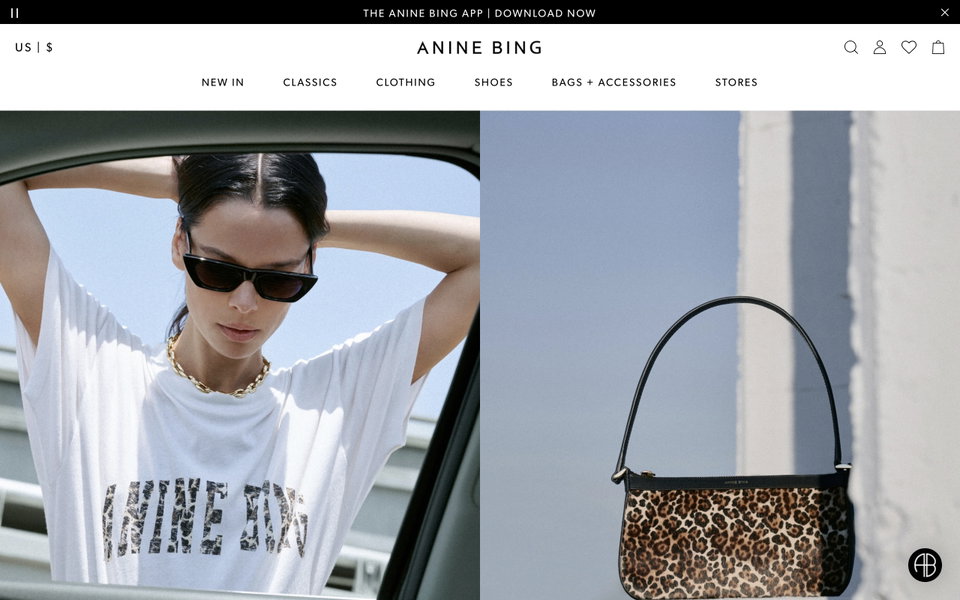 Anine Bing website
