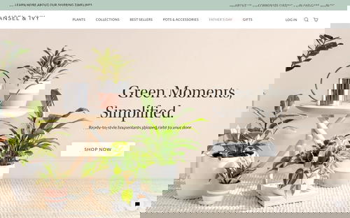Ansel & Ivy website screenshot