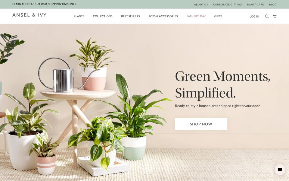 Ansel & Ivy website