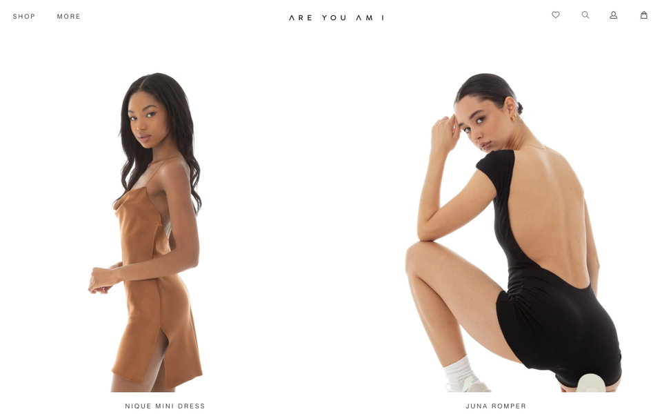 Are You Am I website