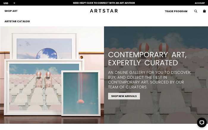 ArtStar screenshot