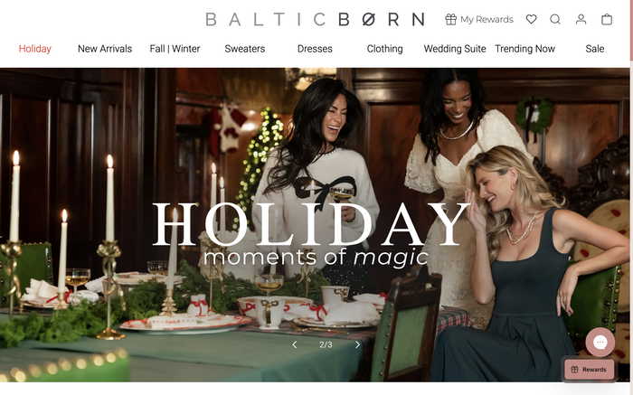 Baltic Born screenshot