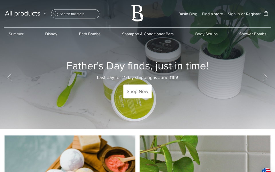 Basin website