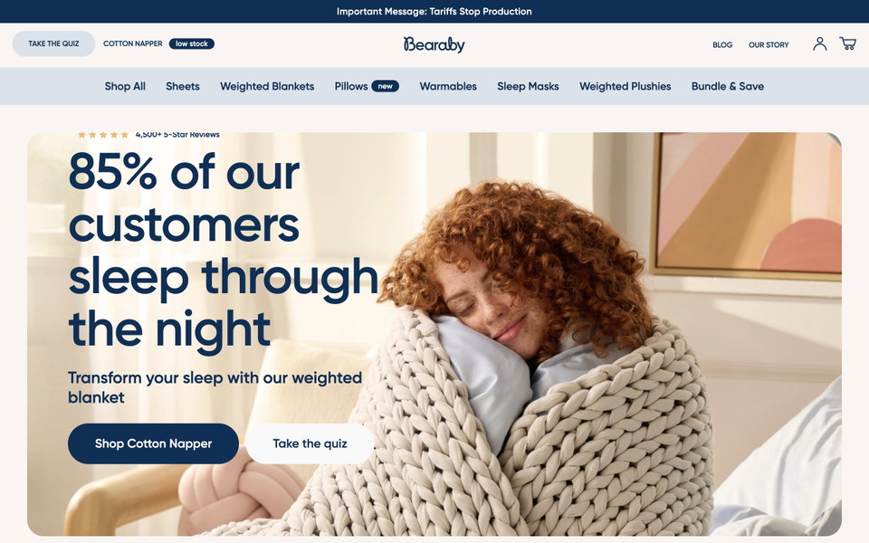 Bearaby website