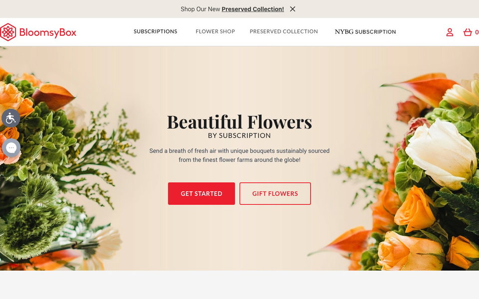 BloomsyBox website