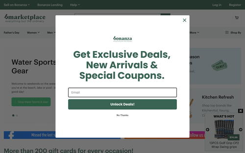 Bonanza website screenshot