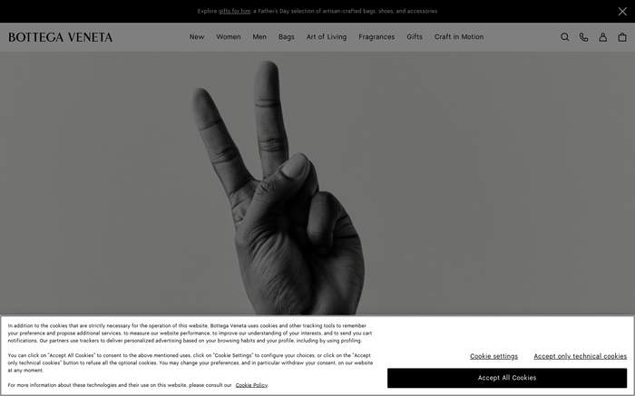 Bottega Veneta screenshot