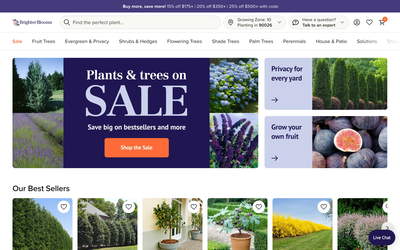 BrighterBlooms.com