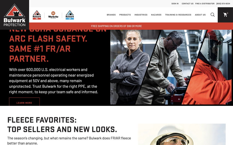 Bulwark Protection website