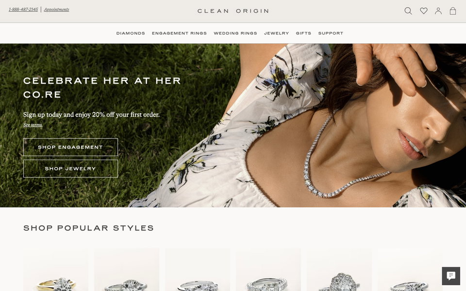 Clean Origin website