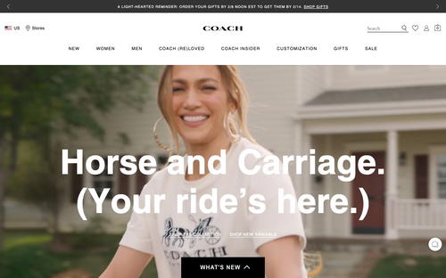 Coach website