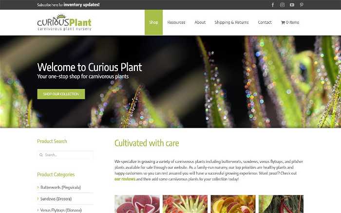 Curious Plant screenshot