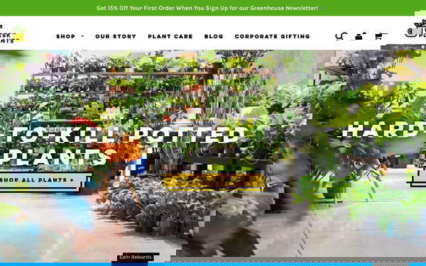 Desk Plants screenshot