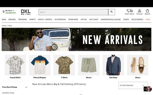 DXL Group website screenshot