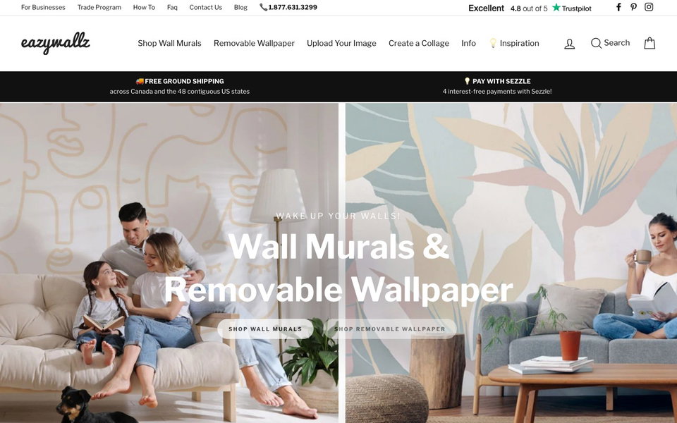 Eazywallz website