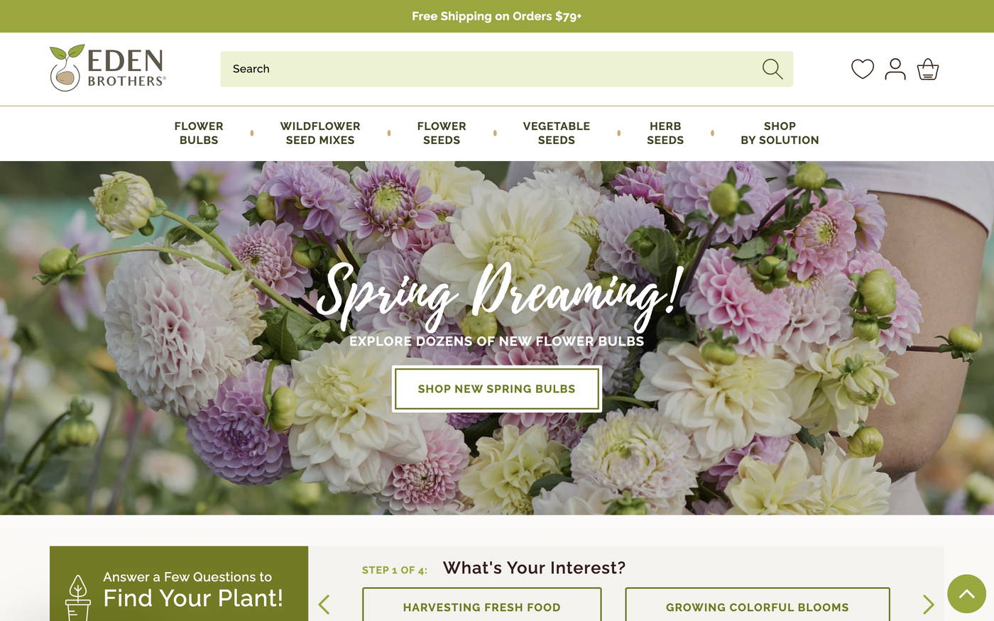 Eden Brothers screenshot