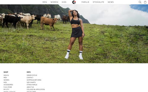 Ethika website screenshot