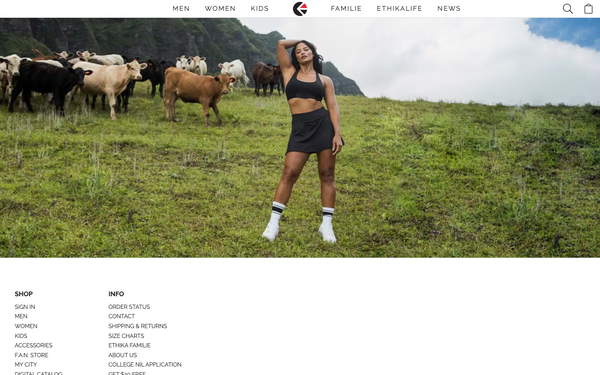 Ethika screenshot