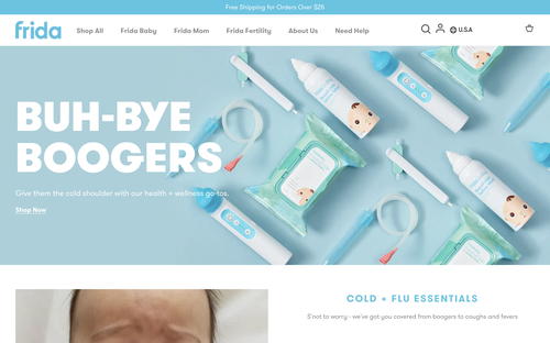 Frida website screenshot