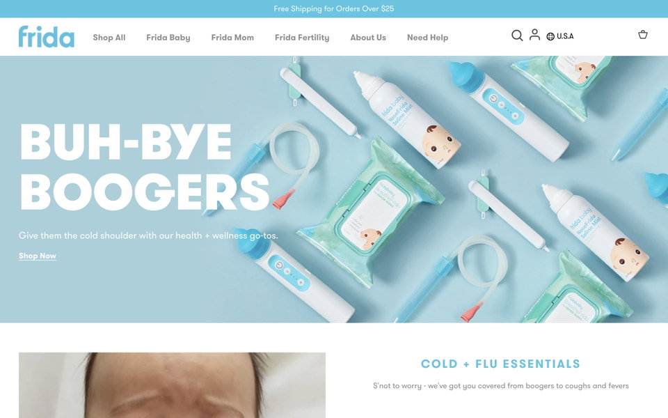 Frida website