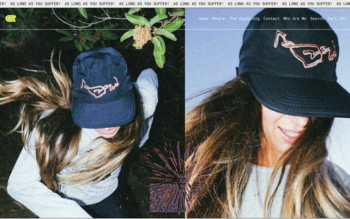 GRIN27 website screenshot