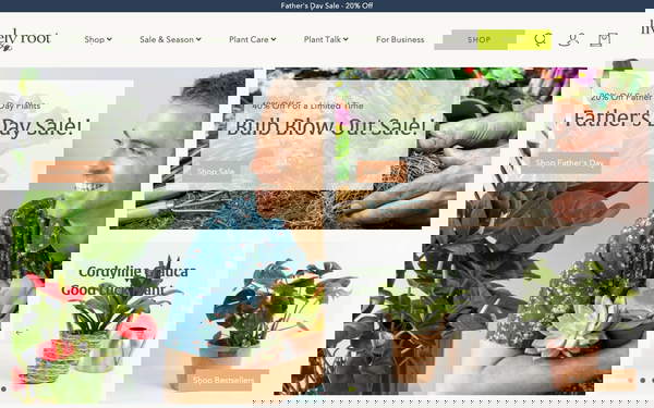 Lively Root screenshot
