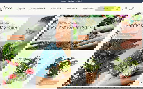 Lively Root website screenshot