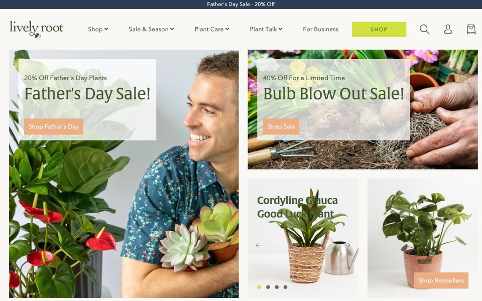 Lively Root website