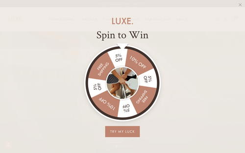 Luxe Pickleball website screenshot