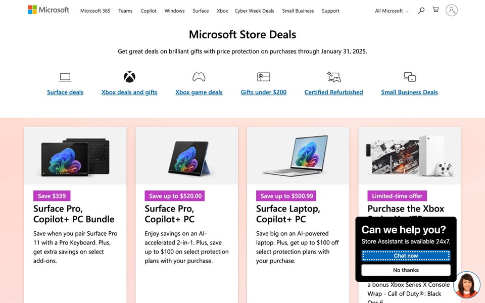 Microsoft website