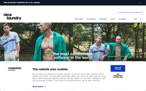 Nice Laundry website screenshot