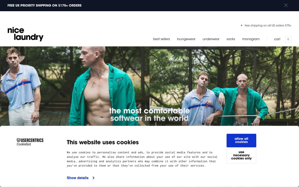 Nice Laundry website