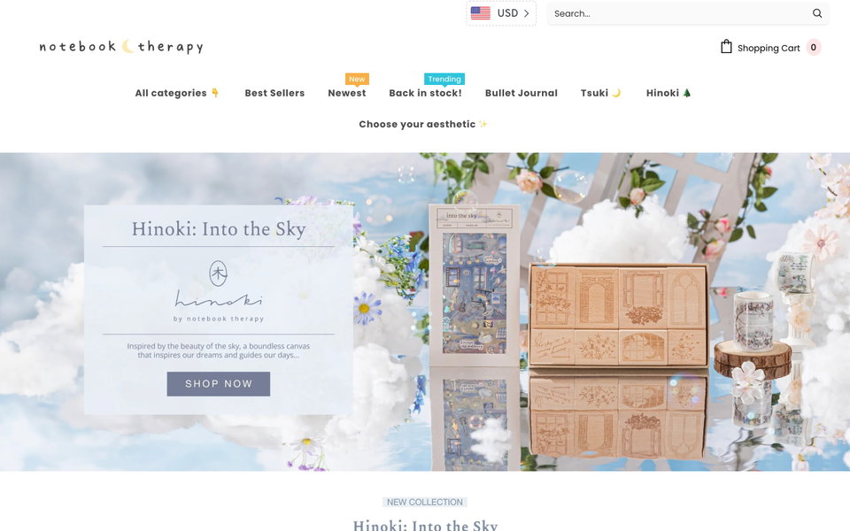 NotebookTherapy website