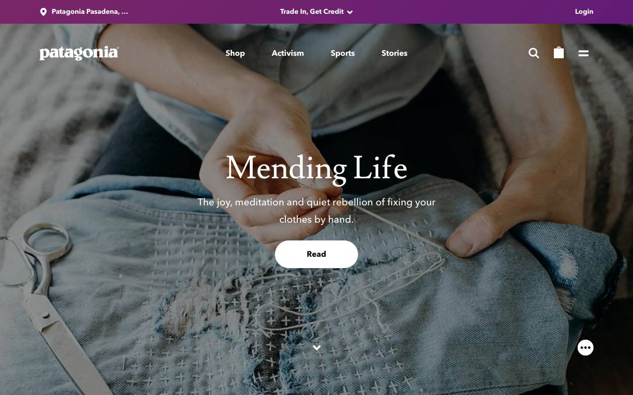 Patagonia screenshot