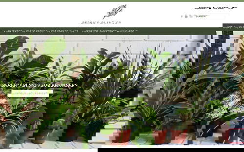 Perrico Plant Co website screenshot