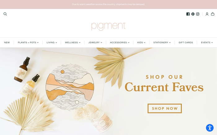 Pigment screenshot