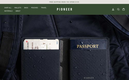 Pioneer Carry website screenshot