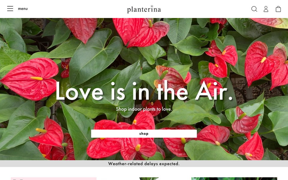 Planterina website