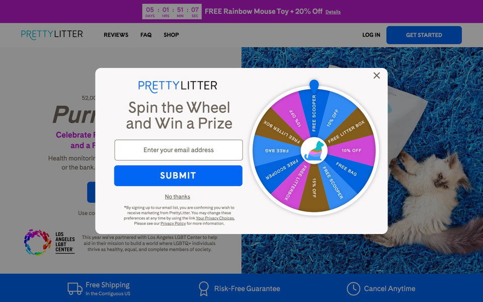 PrettyLitter website