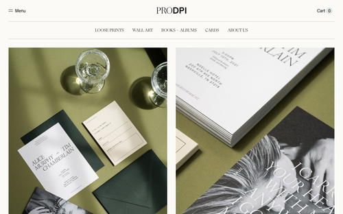 ProDPI website screenshot