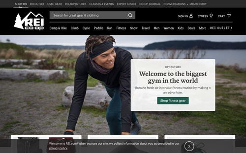 REI website screenshot