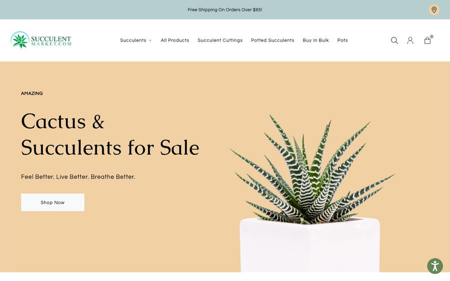 Succulent Market on Shomp