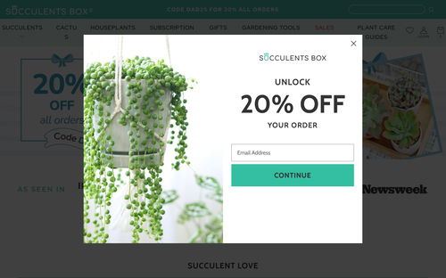 Succulents Box
