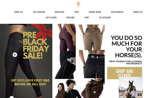 Sync Equestrian website