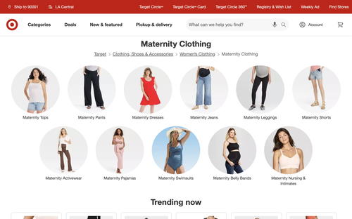 Target website screenshot