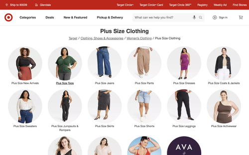 Target website screenshot