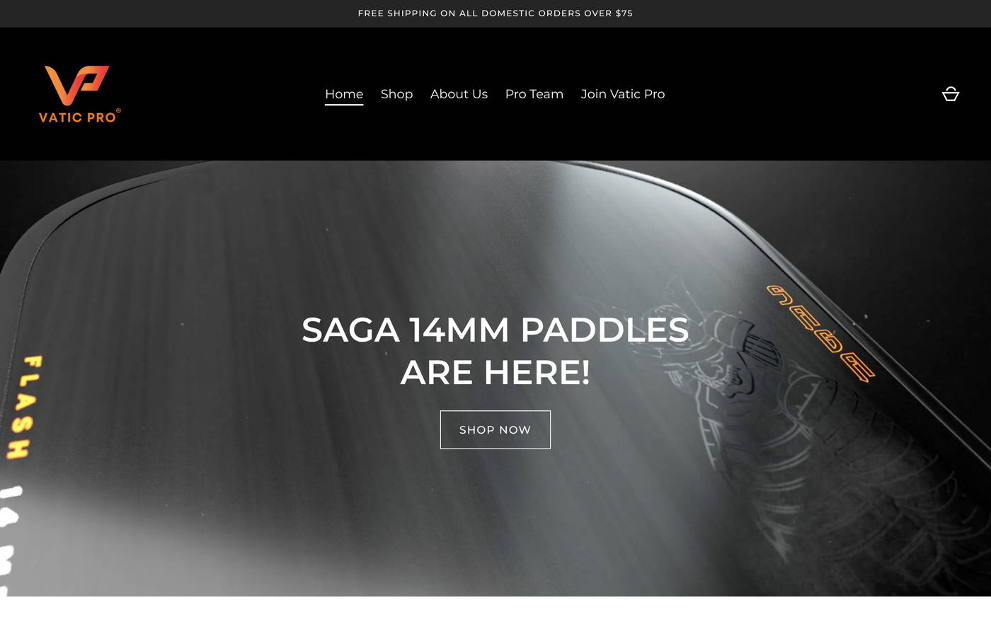 Vatic Pro screenshot